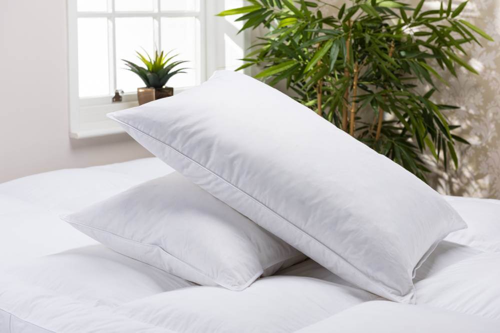 Stayora Standard Pillows