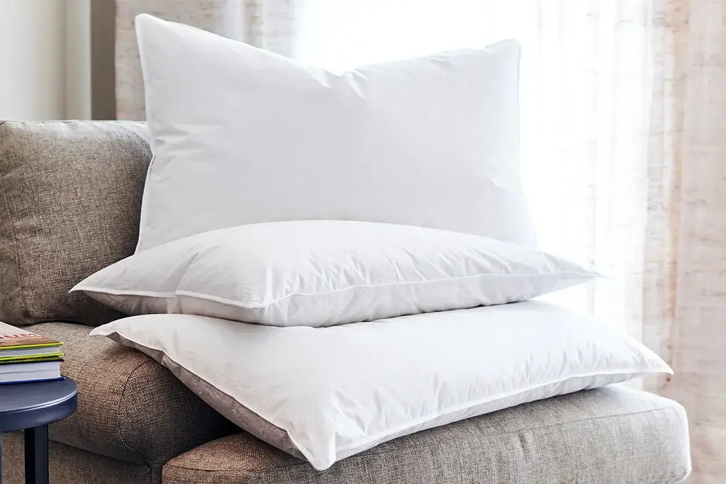 Stayora Standard Pillows